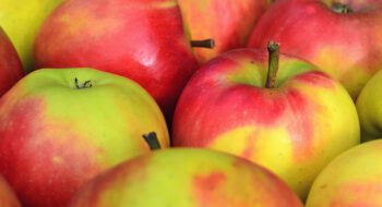 10 Fakten, die Sie über Äpfel wissen sollten
