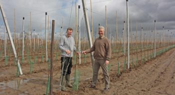 6000 neue Bäume: Apfelplantage in Vorbereitung