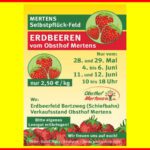 20220523_Selbstpflueckfeld_web_2