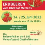 20230620_Selbstpflück-Feld_Juni_2023_online-1