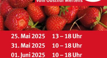 Es geht wieder los!