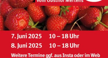 Am Pfingst-Wochenende geht es weiter