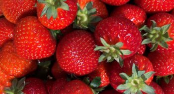 Unsere Öffnungszeiten an den Ostertagen