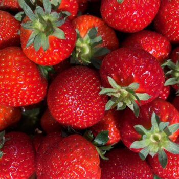 Unsere Öffnungszeiten an den Ostertagen