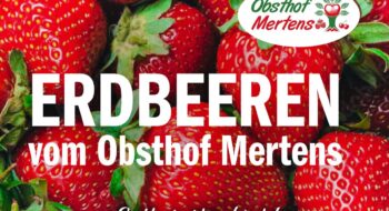 Selbstpflückfeld startet
