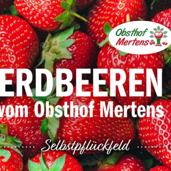 Selbstpflückfeld startet